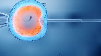 哈萨克斯坦三代试管婴儿咨询全解析，费用预算与备孕指南，科技孕育新希望