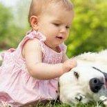 2026年试管婴儿第三代价格揭秘，一文看懂多少钱？