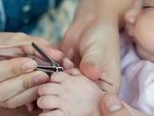 浙江试管助孕生孩子热门医院推荐，2026试管助孕生孩子条件