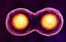 做试管婴儿对女人危害的真相，为你解除心中的疑惑