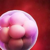 广西省南宁市三大助孕机构，这几家公司值得收藏及联系方式