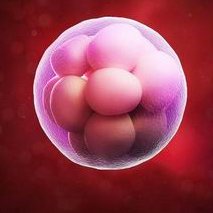 做试管医院排名出炉，这几家医院榜上有名