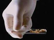 衡阳星辉三代试管助孕费用高不高？普通百姓是否可以承受？