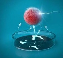 格鲁吉亚试管婴儿费用全解析，知名医院价格一览表