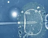 哪方面最能突出泰国第三代试管婴儿的优势所在？