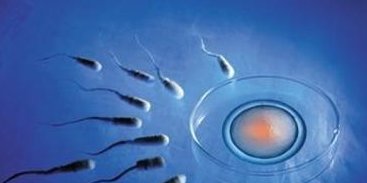 详解南昌三代试管助孕生孩子收费目录表，附江西试管助孕医院名单