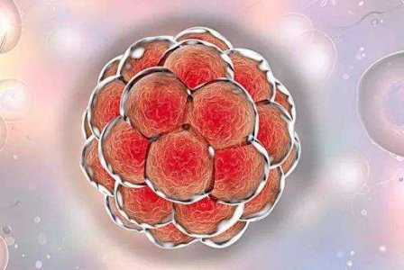 美国第三代试管婴儿技术哪里可以做-医院大全？